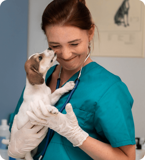 Vet Info