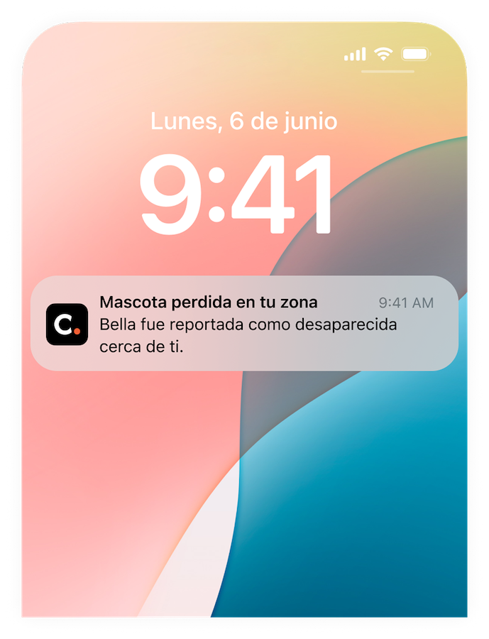 Notificación de perdido