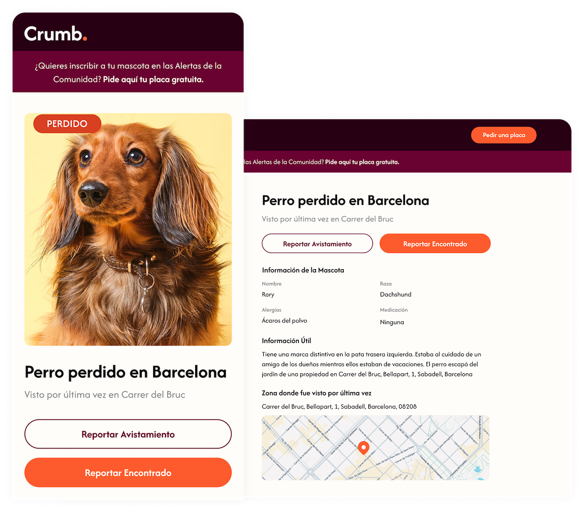 Perfil de perdido