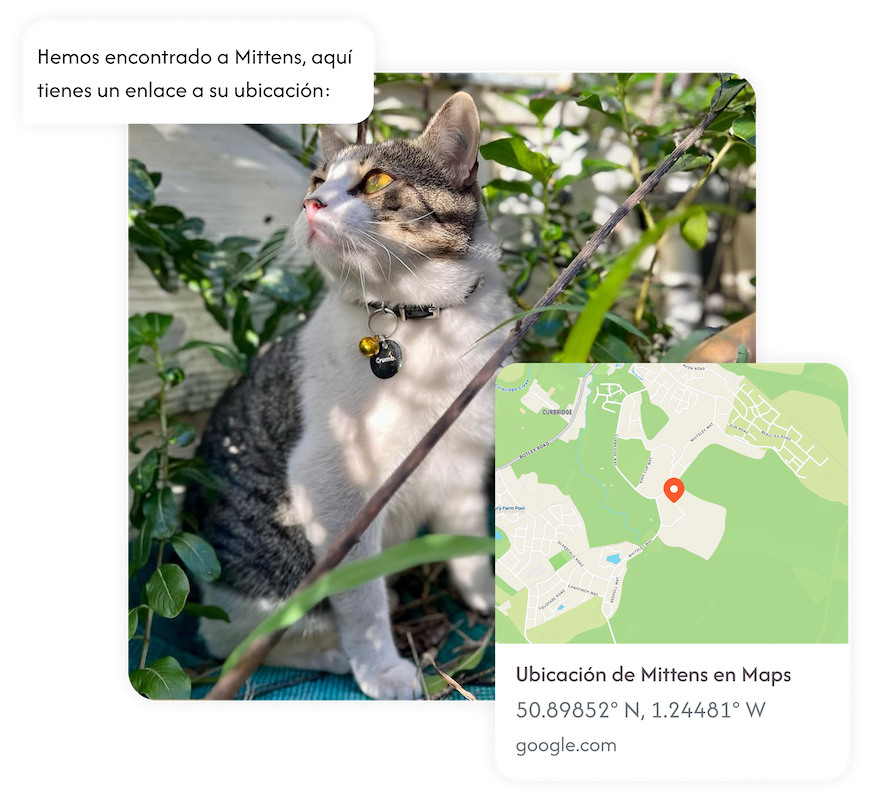 GPS de mascota