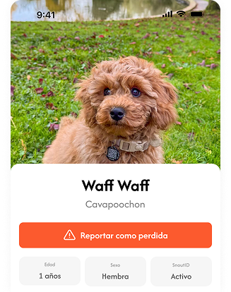 Perfil de Mascota