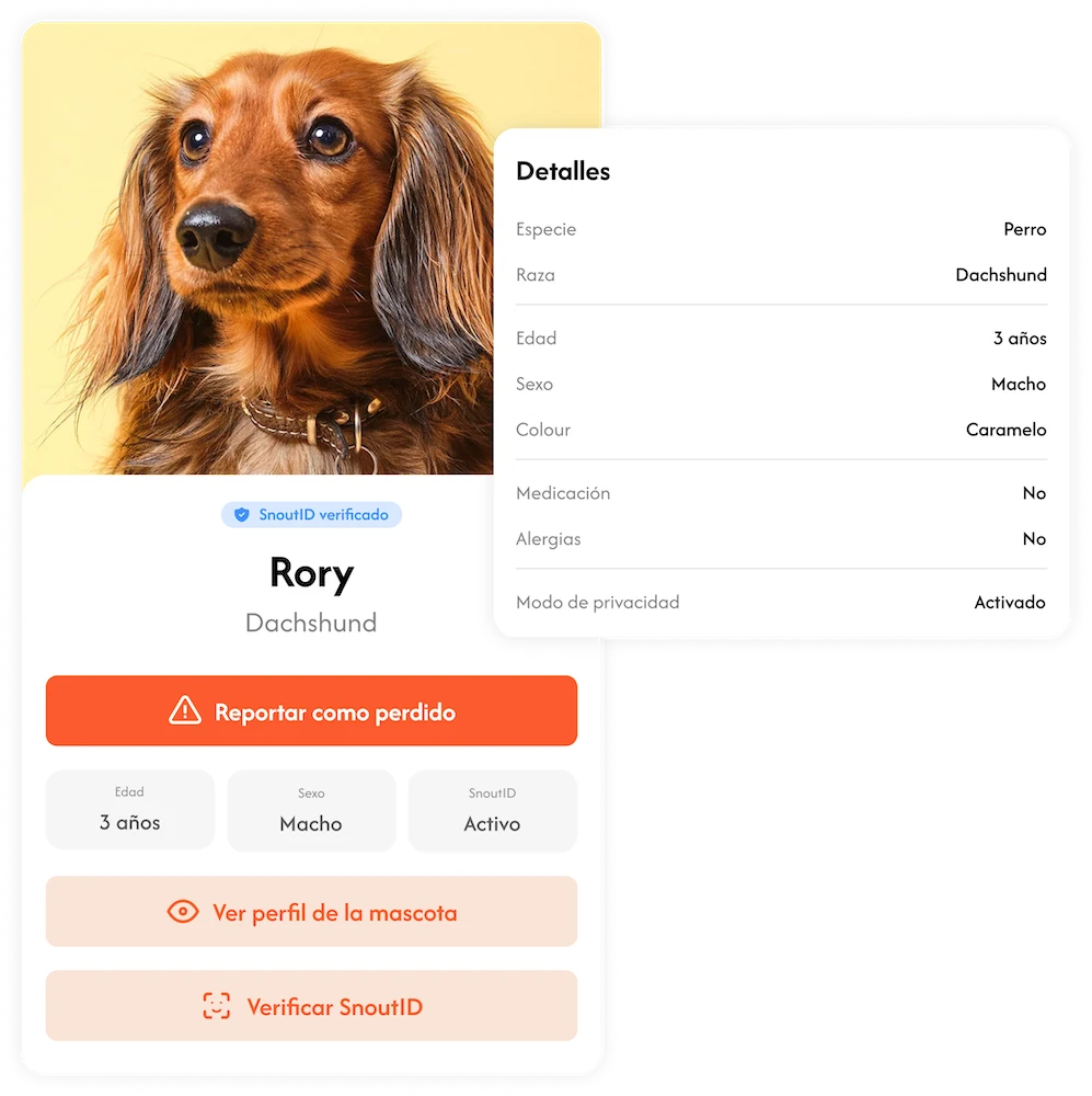 Perro feliz con etiqueta Crumb