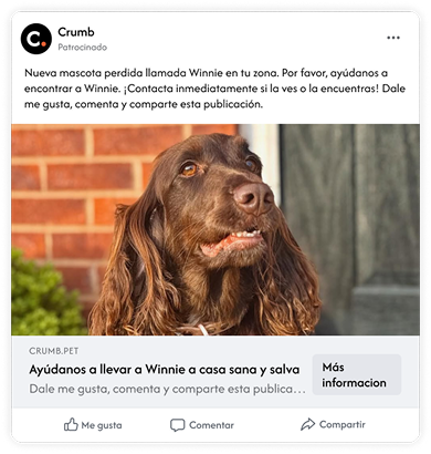 Social SOS