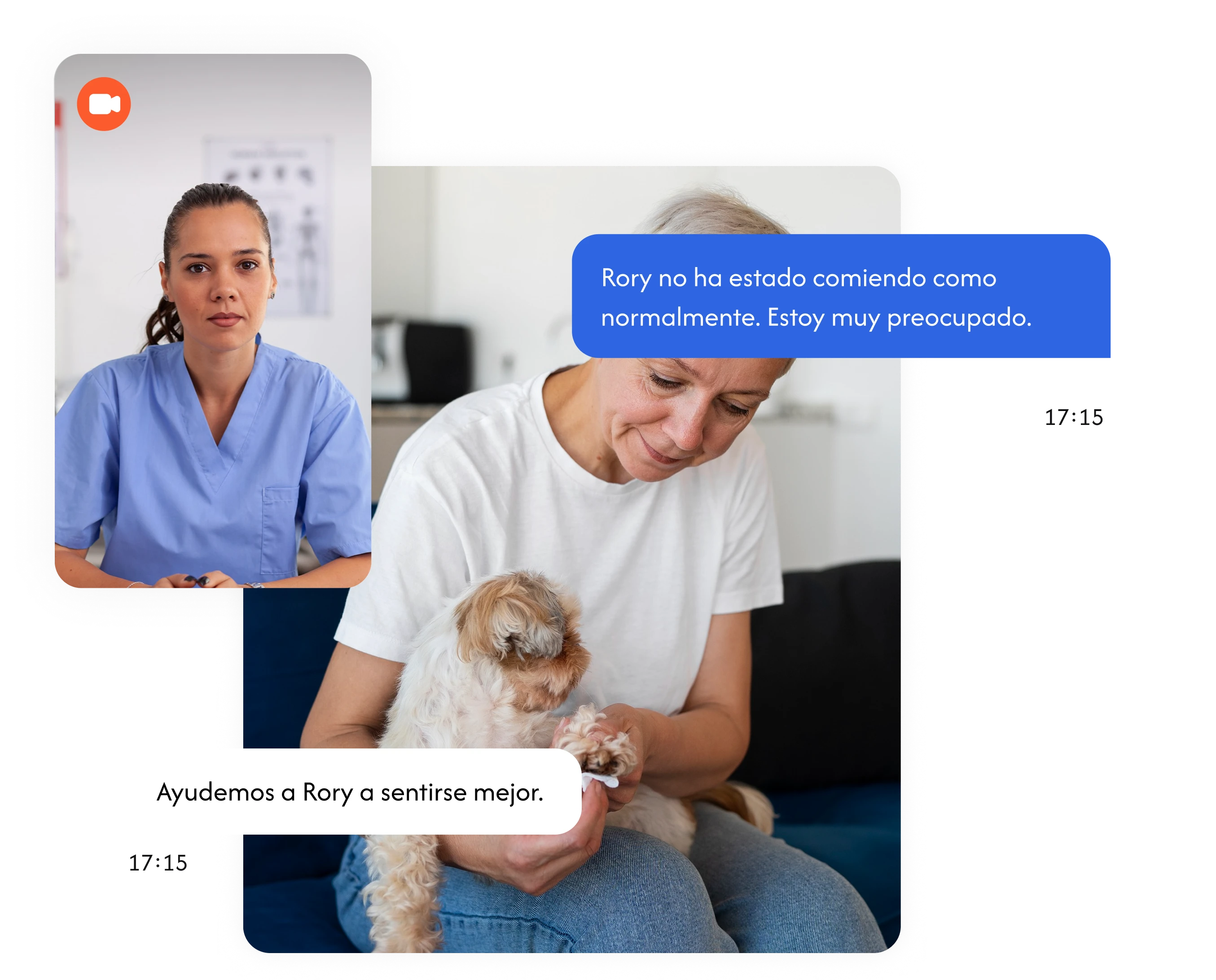 Mensaje veterinario