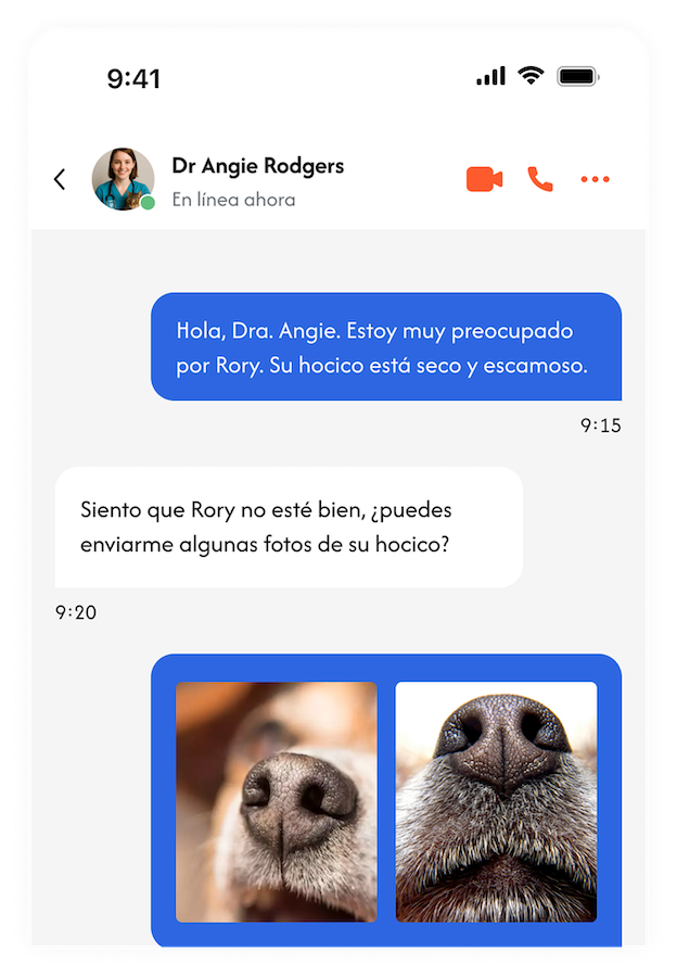 Imágenes veterinarias
