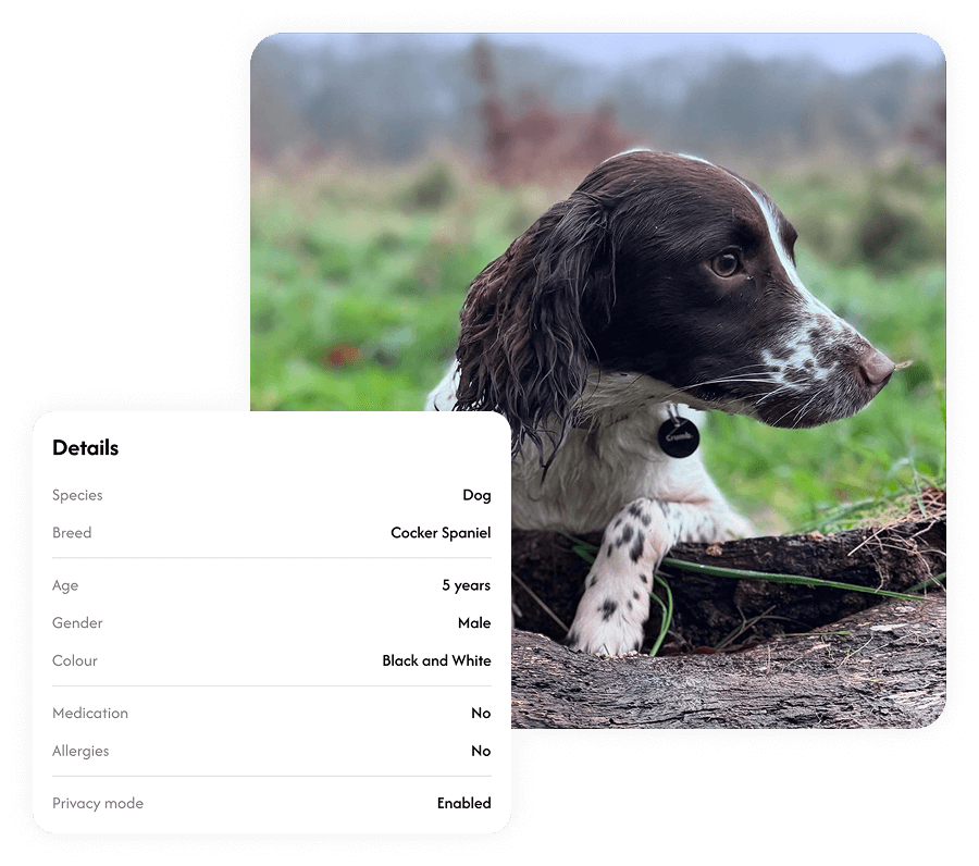 Pet Profile
