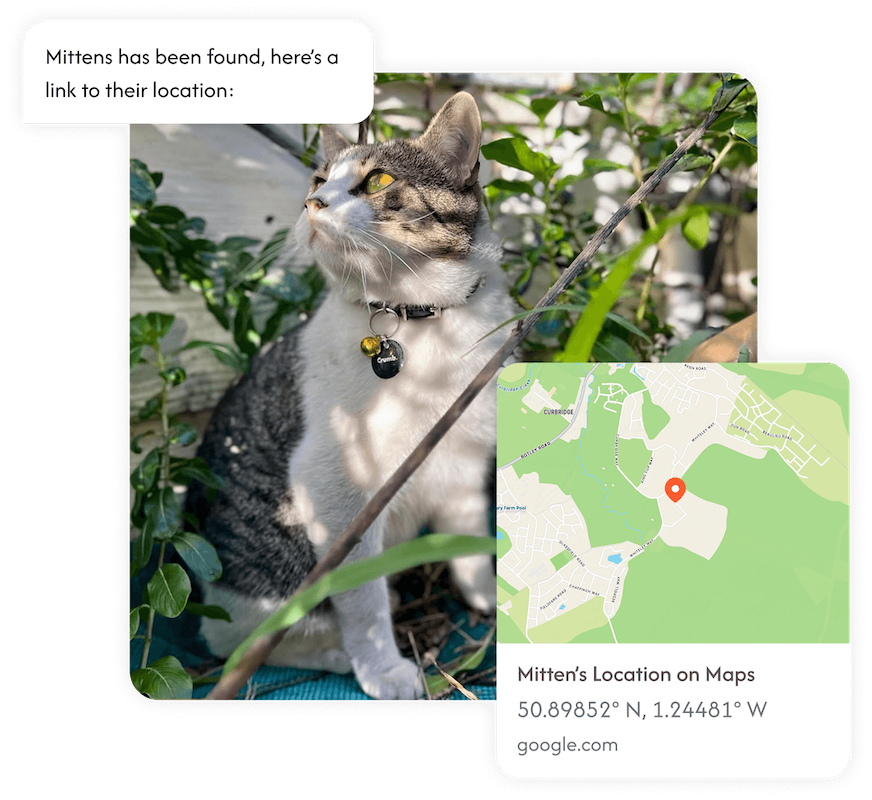 Pet GPS