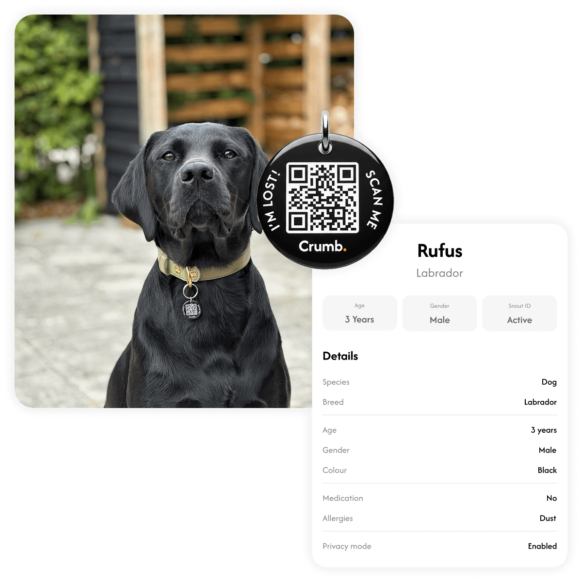 Pet Tag