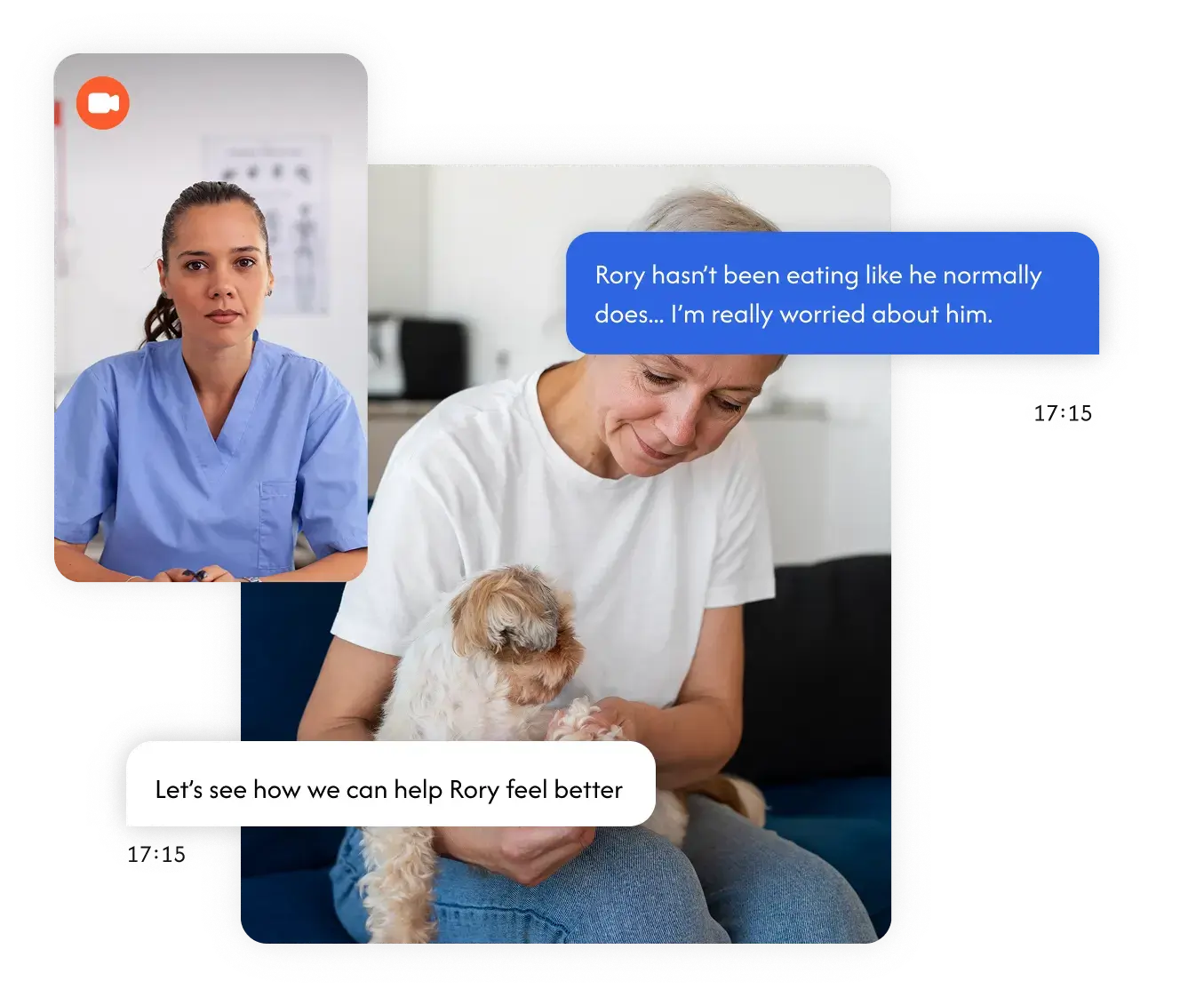 Text Vet