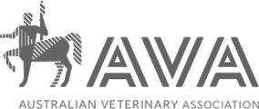 AVA Logo
