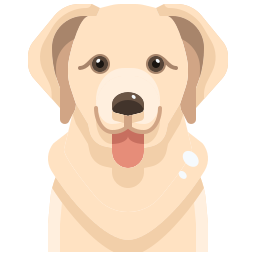 dog icon