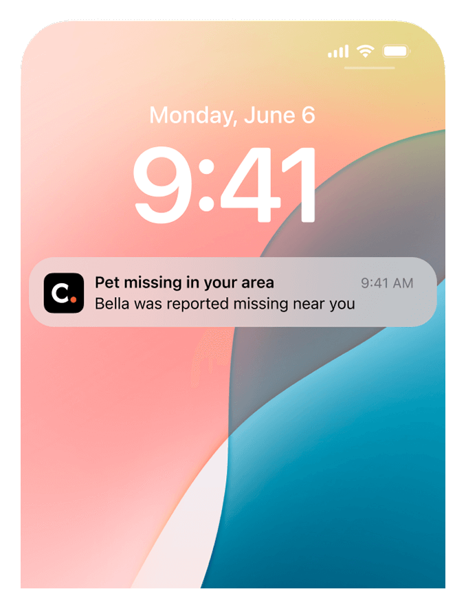 Immediate Neighbourhood Missing Pet Alerts | Crumb.