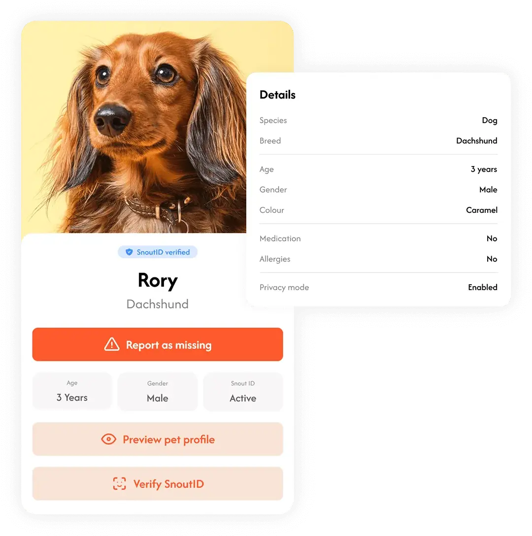 Happy dog with Crumb tag
